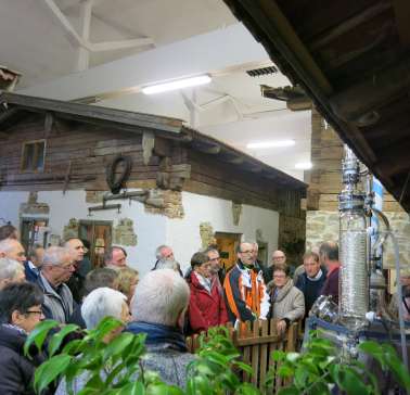 Bayerischer Wald 2019