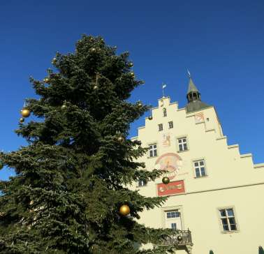 Bayerischer Wald 2019