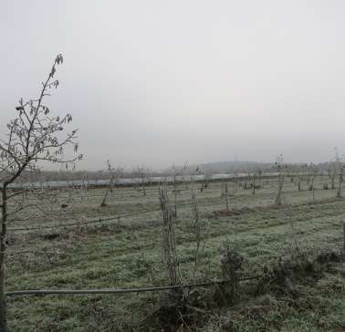 Bayerischer Wald 2019