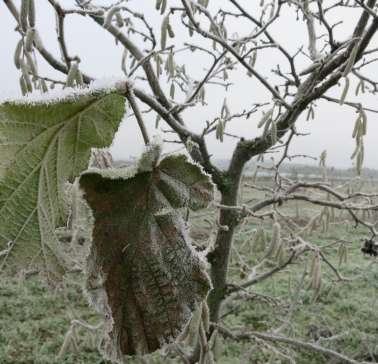 Bayerischer Wald 2019