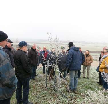 Bayerischer Wald 2019