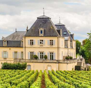 Haus in Reben©Pixabay