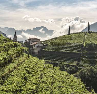 ©IDM_Südtirol Wein_Tiberio Sorvillo
