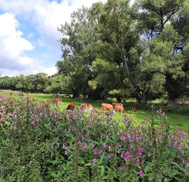 Nordhessen 2021©ADB