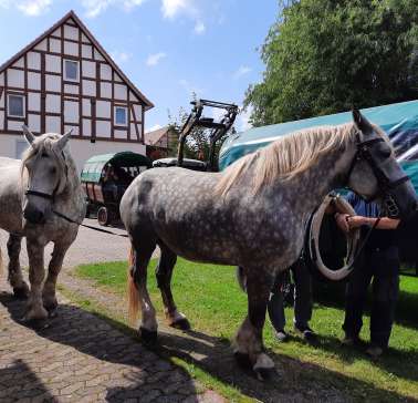 Nordhessen 2021©ADB