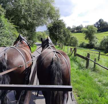 Nordhessen 2021©ADB