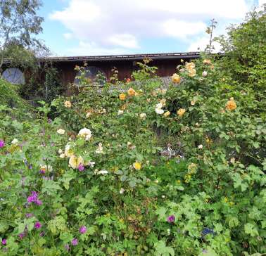 Nordhessen 2021©ADB