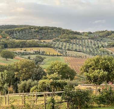 Toskana Weinreise 2021©ADB