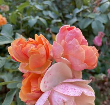 Toskana Weinreise 2021©ADB