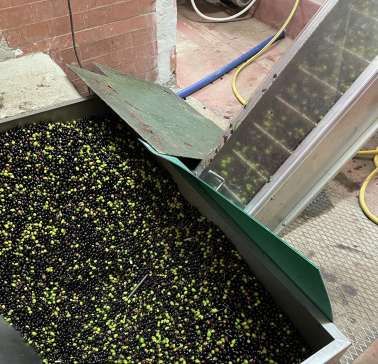 Toskana Weinreise 2021©ADB