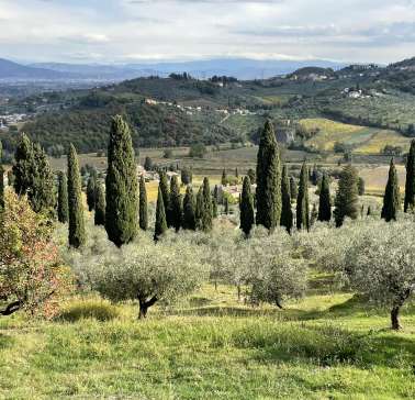Toskana Weinreise 2021©ADB