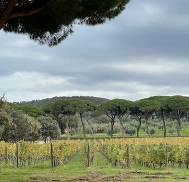 Toskana Weinreise 2021©ADB