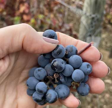 Toskana Weinreise 2021©ADB