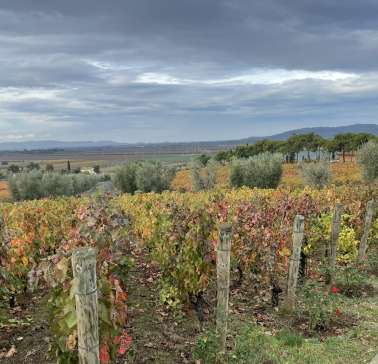 Toskana Weinreise 2021©ADB