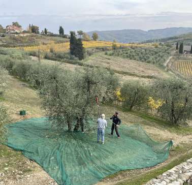 Toskana Weinreise 2021©ADB