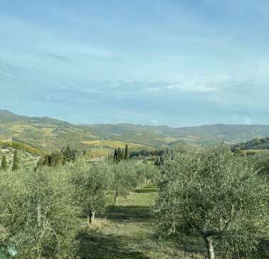 Toskana Weinreise 2021©ADB