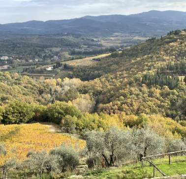 Toskana Weinreise 2021©ADB