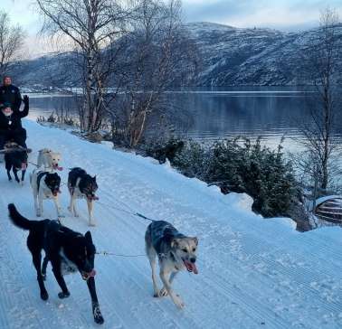 Hurtigruten 2023©ADB