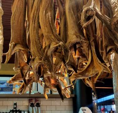 Hurtigruten 2023©ADB