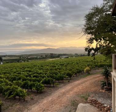 Südafrika Weinreise 2023©ADB