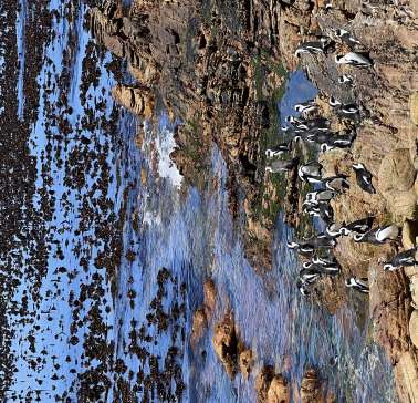 Südafrika Weinreise 2023©ADB