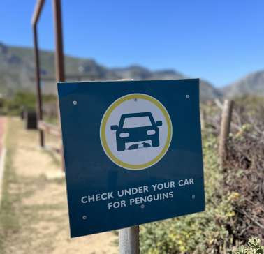 Südafrika Weinreise 2023©ADB