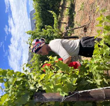 Südafrika Weinreise 2023©ADB