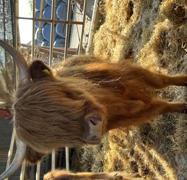 Schottland 2023©ADB