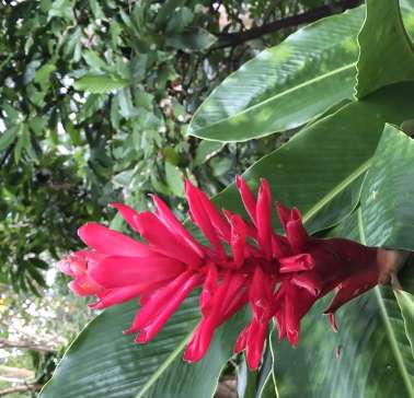 AIDA Karibik & Mittelamerika 2024©ADB