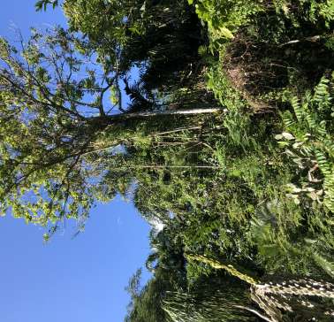 AIDA Karibik & Mittelamerika 2024©ADB