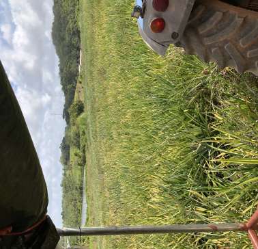 AIDA Karibik & Mittelamerika 2024©ADB