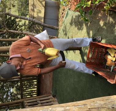 AIDA Karibik & Mittelamerika 2024©ADB