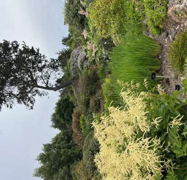 Schottland 2023©ADB