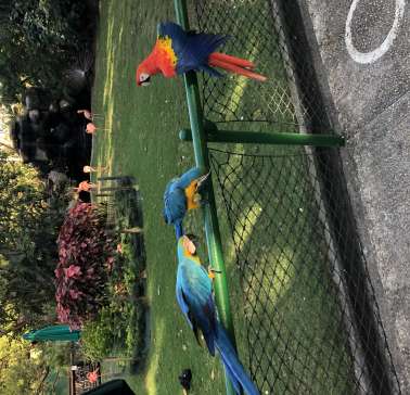 AIDA Karibik & Mittelamerika 2024©ADB