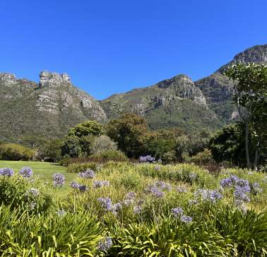 Südafrika Weinreise 2023©ADB