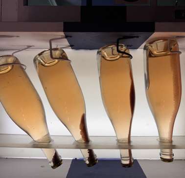 Südafrika Weinreise 2023©ADB