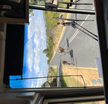 Südafrika Weinreise 2023©ADB