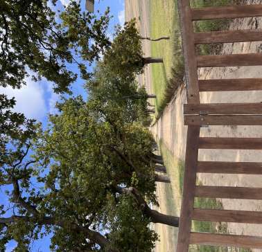 Südafrika Weinreise 2023©ADB