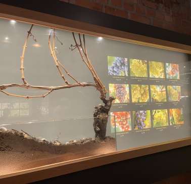 Rad&Schiff 2024©ADB