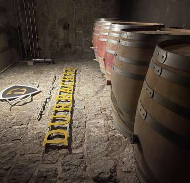 Rad&Schiff 2024©ADB