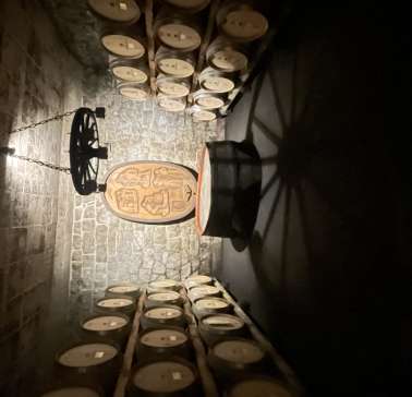 Rad&Schiff 2024©ADB