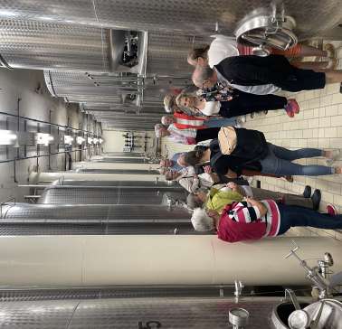 Rad&Schiff 2024©ADB