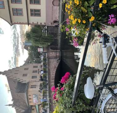 Rad&Schiff 2024©ADB