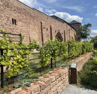 Rad&Schiff 2024©ADB