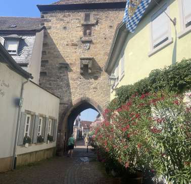 Rad&Schiff 2024©ADB