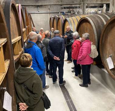 WeinvisiteElsass 2025©Petra Littner