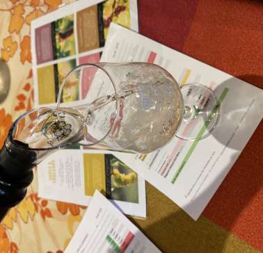 WeinvisiteElsass 2025©Petra Littner