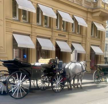 Maifahrt Wien 2026©ADB