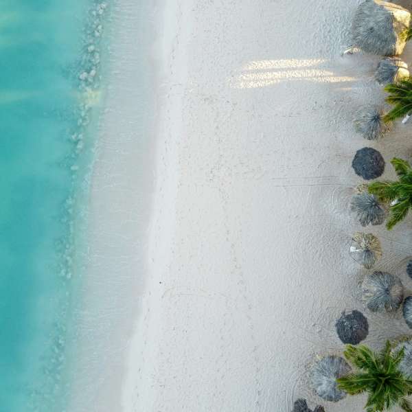 ©unsplash